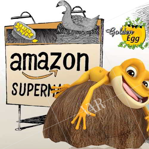 amazon is egging  golden eggs on internet   the coconut shells for over rs 1200  emi available  are indians half baked