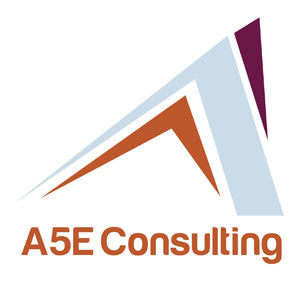 A5E Consulting announces EMI on GST-Ready SAP Solution