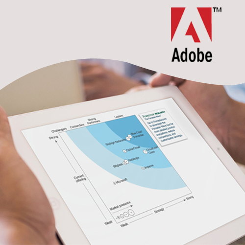 Adobe holds top position among Web Analytics Vendors