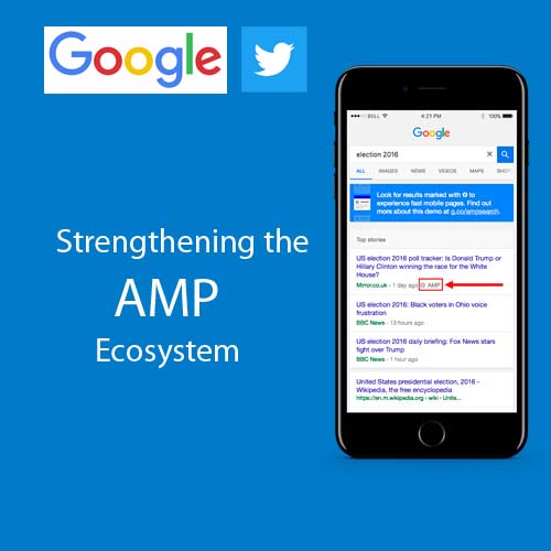 Strengthening the AMP ecosystem
