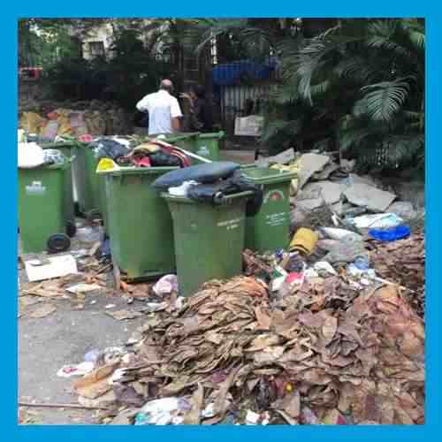 Yasasu EMS to Set up 9 Decentralized Waste Management Plants For MCD