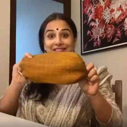 Vidya Balan makes masks out of a blouse piece