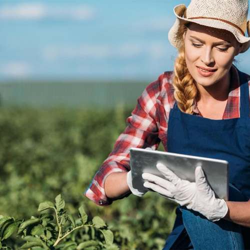 AI could play crucial role in growth of farm sector