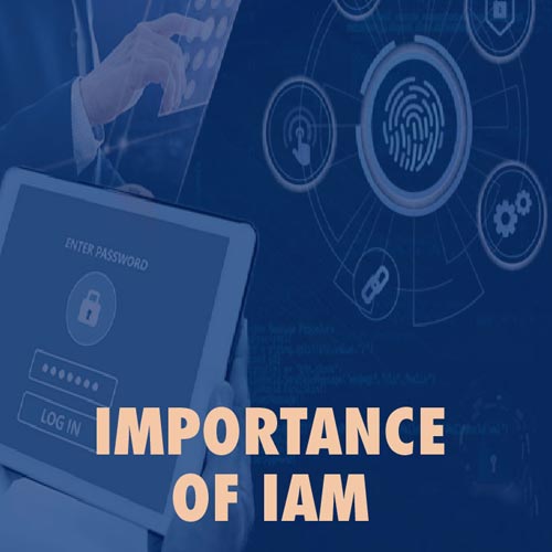 IAM and Data Leakage Prevention services are gaining momentum