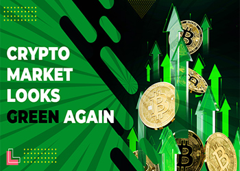 Crypto market looks green again